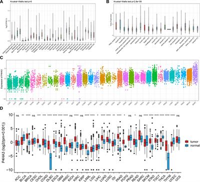 Corrigendum: Systematic pan-cancer analysis of the potential tumor diagnosis and prognosis biomarker P4HA3